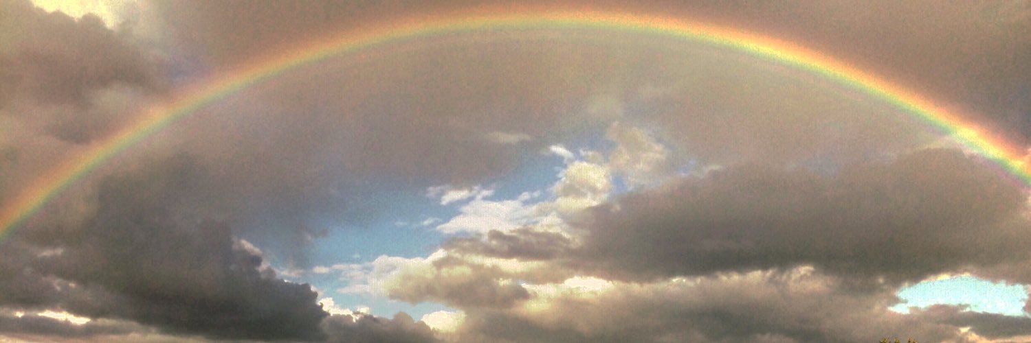 EvaE_E's profile banner image
