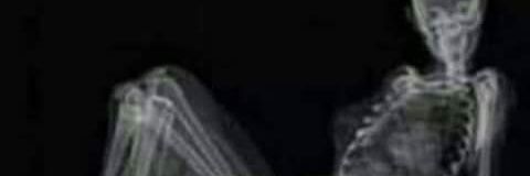 Anytere's profile banner image