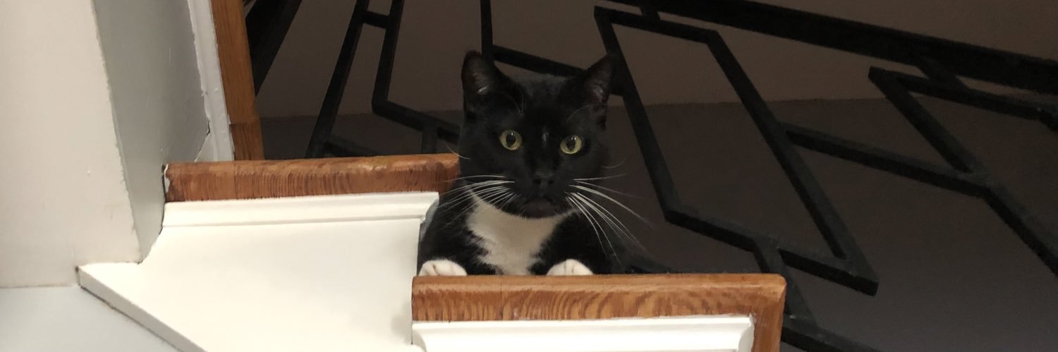 Anya & Skittle, Cat Lady & Her Cat banner