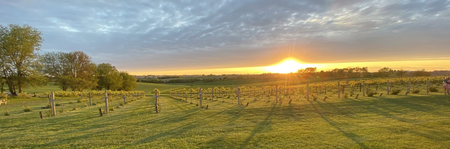 Amaryllis Adey banner