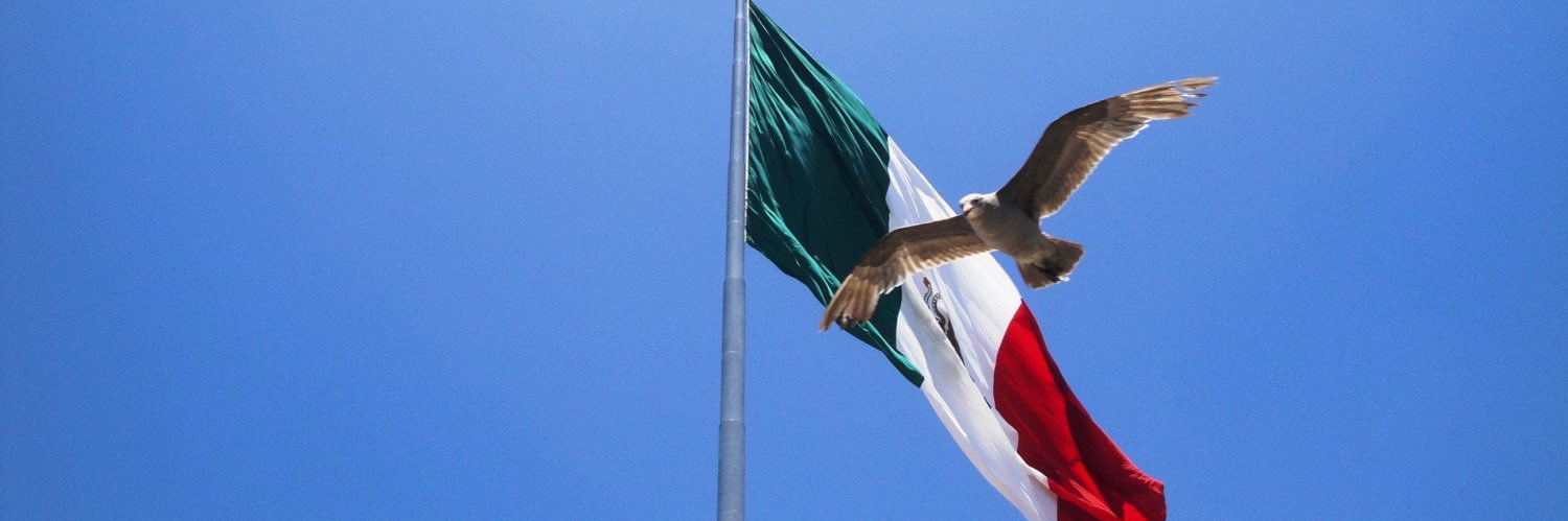vrserrano's profile banner image