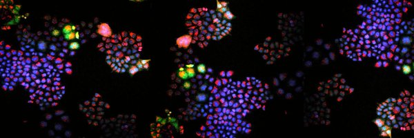 sikeslab Profile Banner