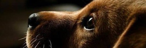 caseysoul's profile banner image
