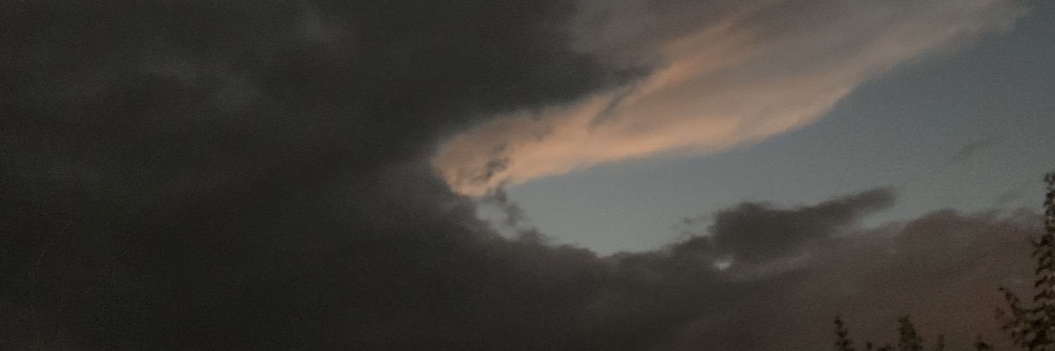 NotHannah's profile banner image