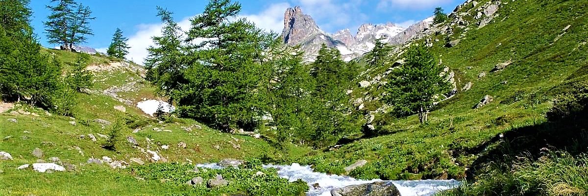 rabahabarar's profile banner image