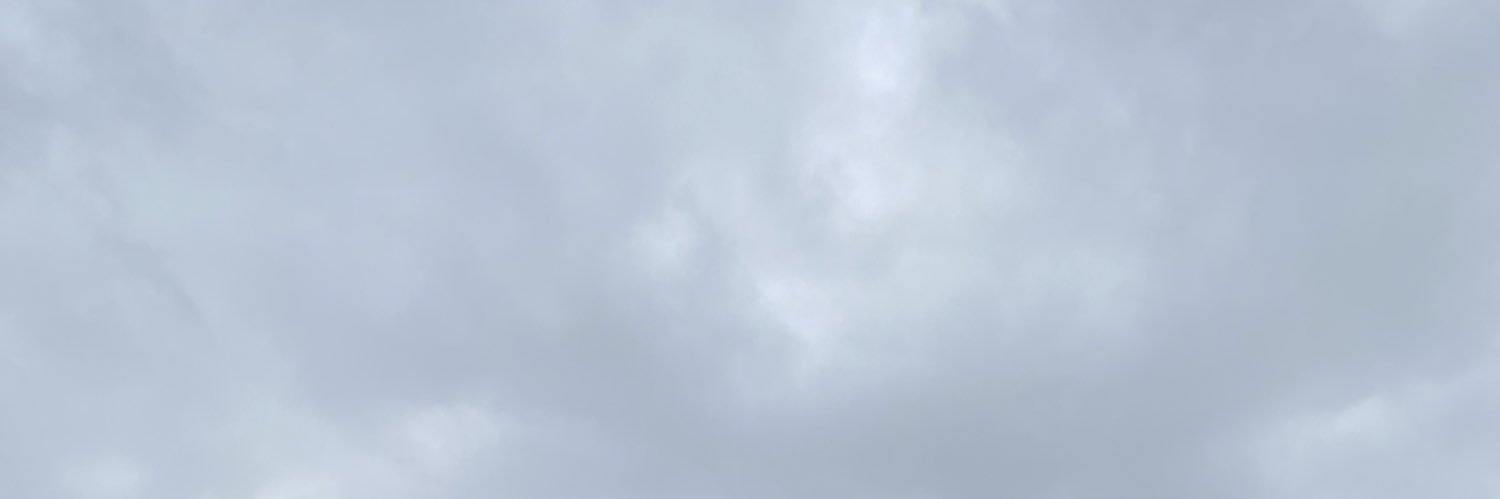 bri banner