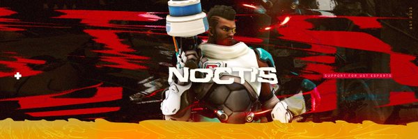Noctis Profile Banner