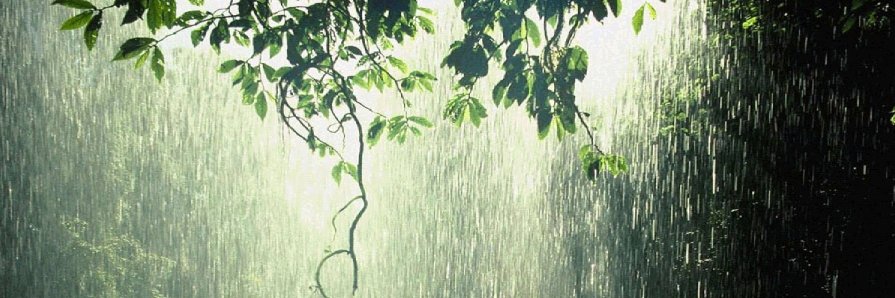 Rhian Morgan banner