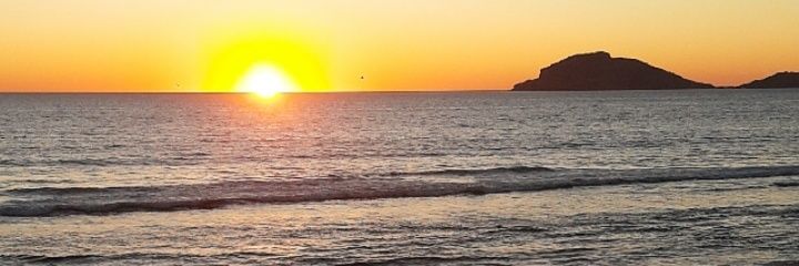anarballo's profile banner image