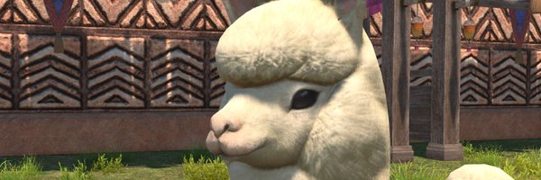 FionnTheBrave Profile Banner