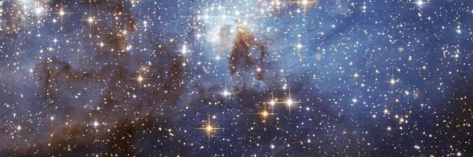 Pappa Ganoosh 🛡️ banner