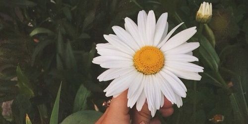 camiimacedo's profile banner image