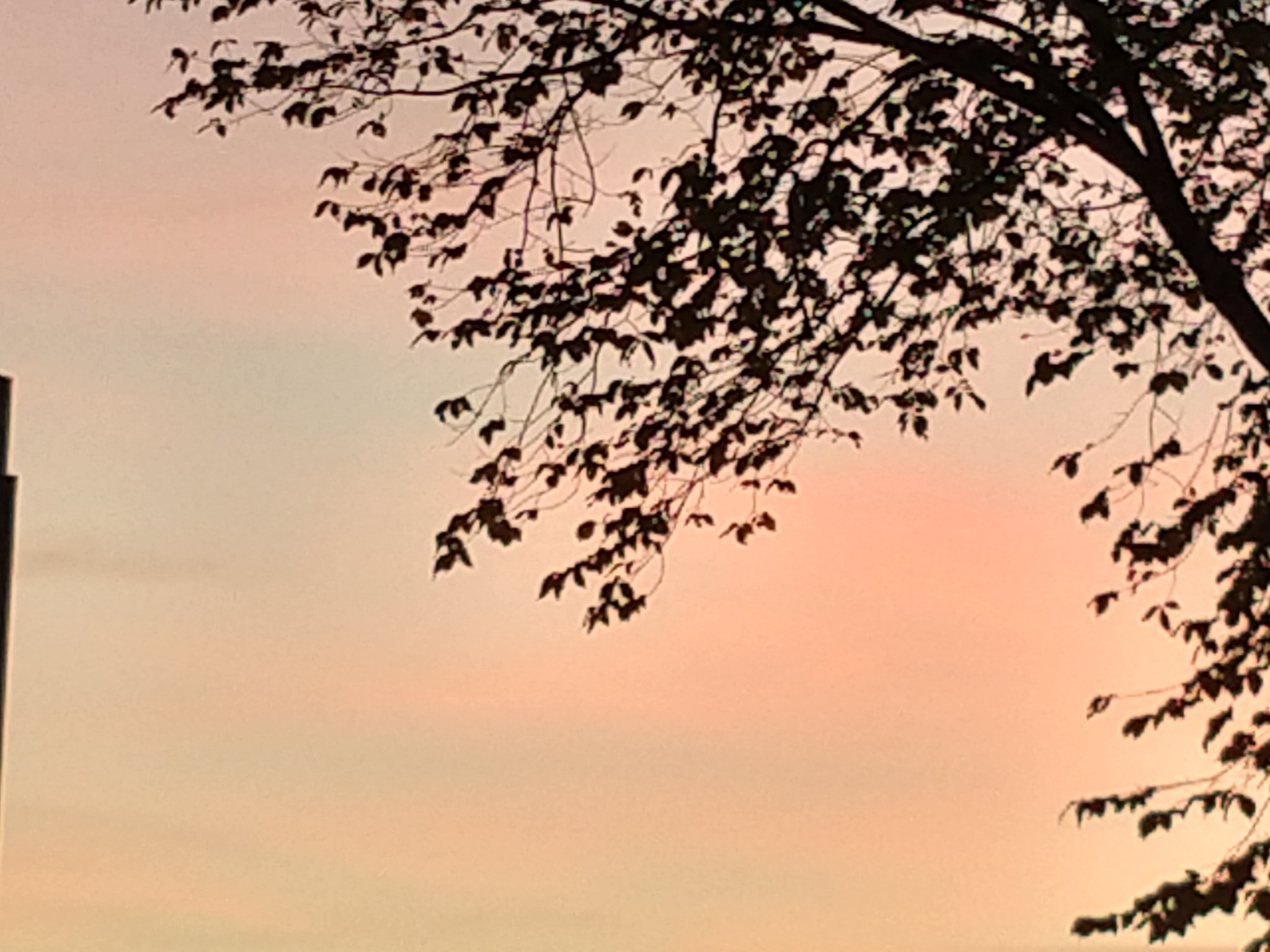 vos_breel's profile banner image