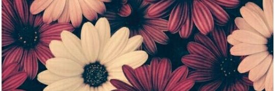 AndyZavarce's profile banner image