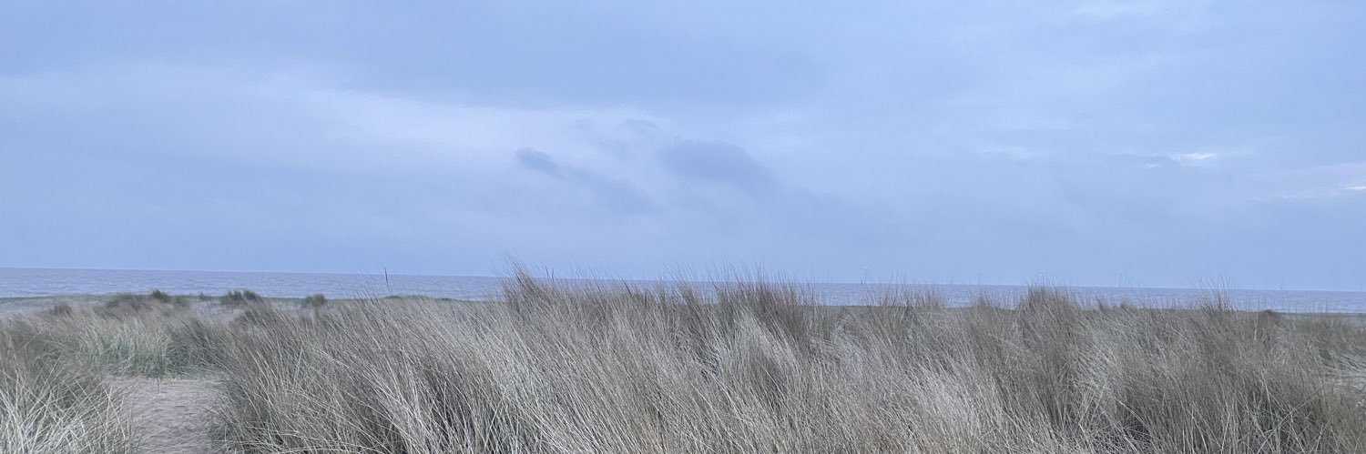 Harley Childs banner