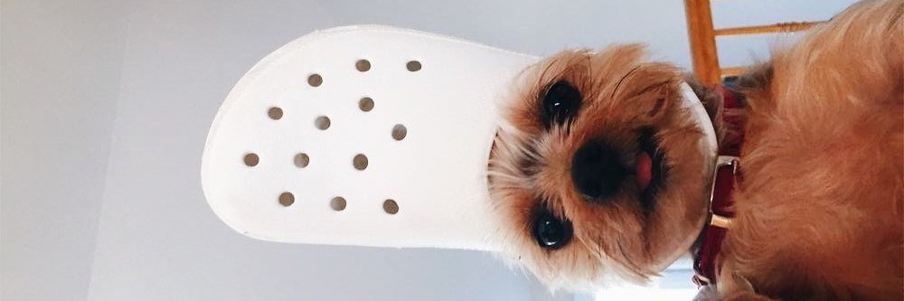 mayerboris's profile banner image
