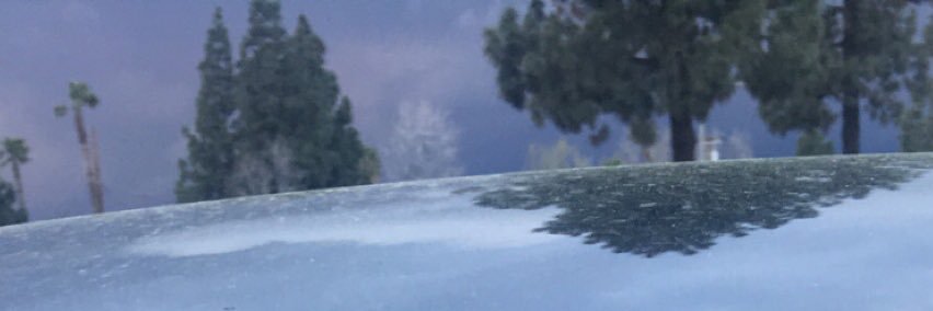 MoshiMikey's profile banner image