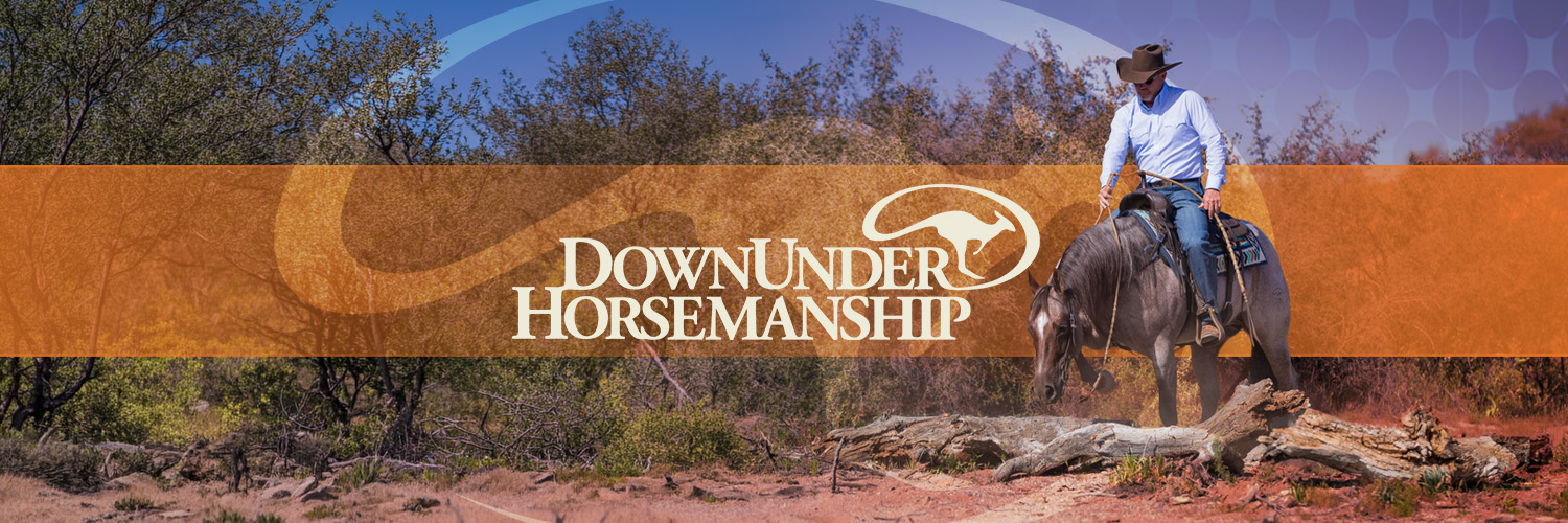 DownunderHorse's profile banner image