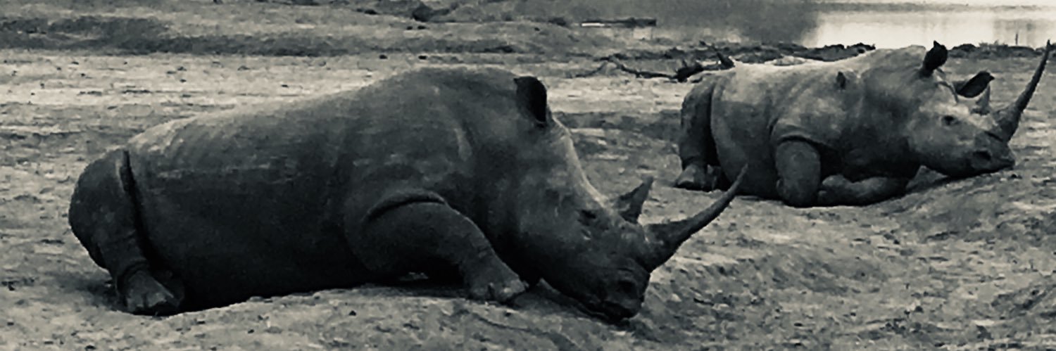 Cédric GUIRAUD banner