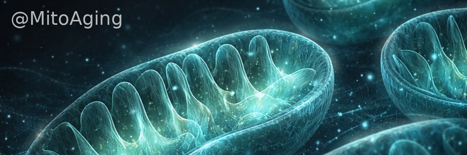 Mitochondria & Aging banner