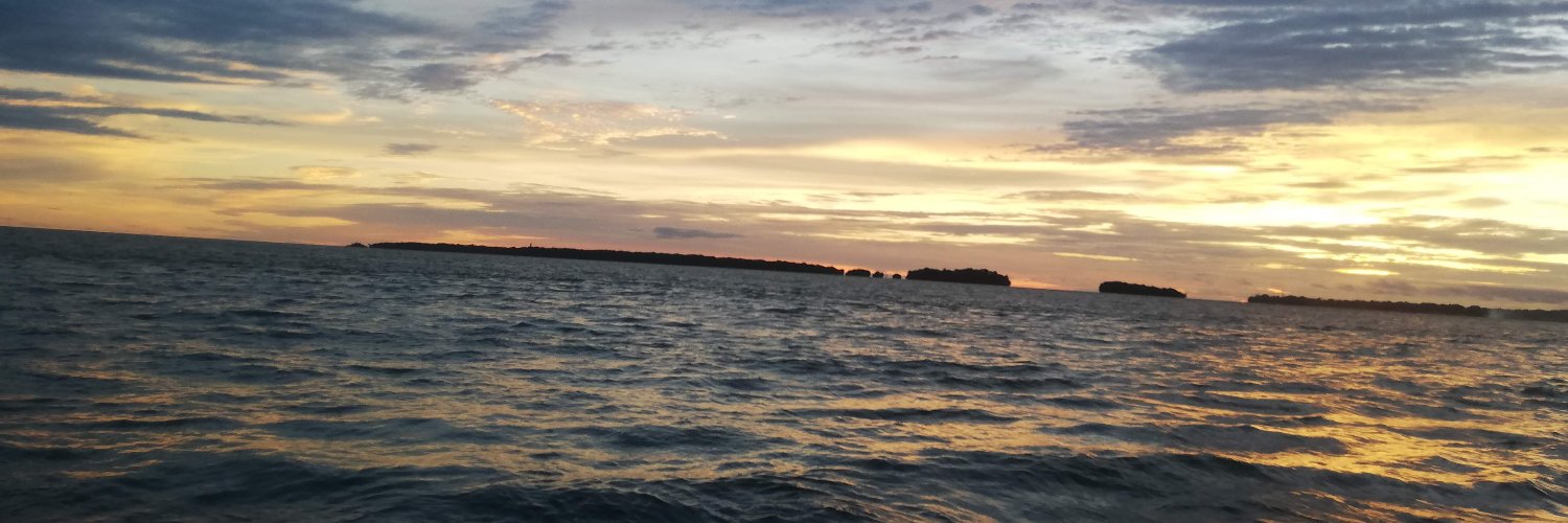LauELFSG's profile banner image