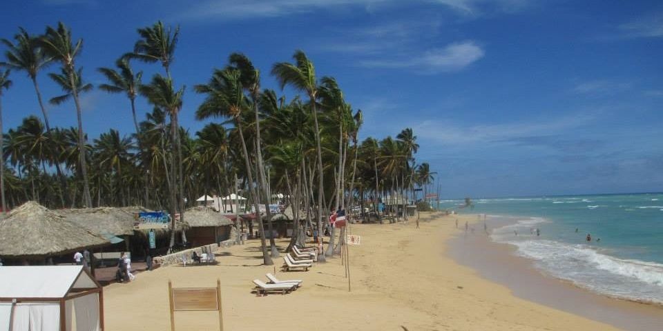 Bridget Kotarak banner