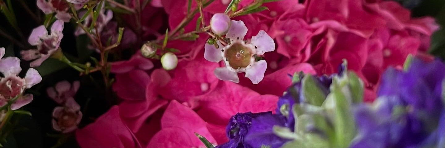 Louise Tingley banner