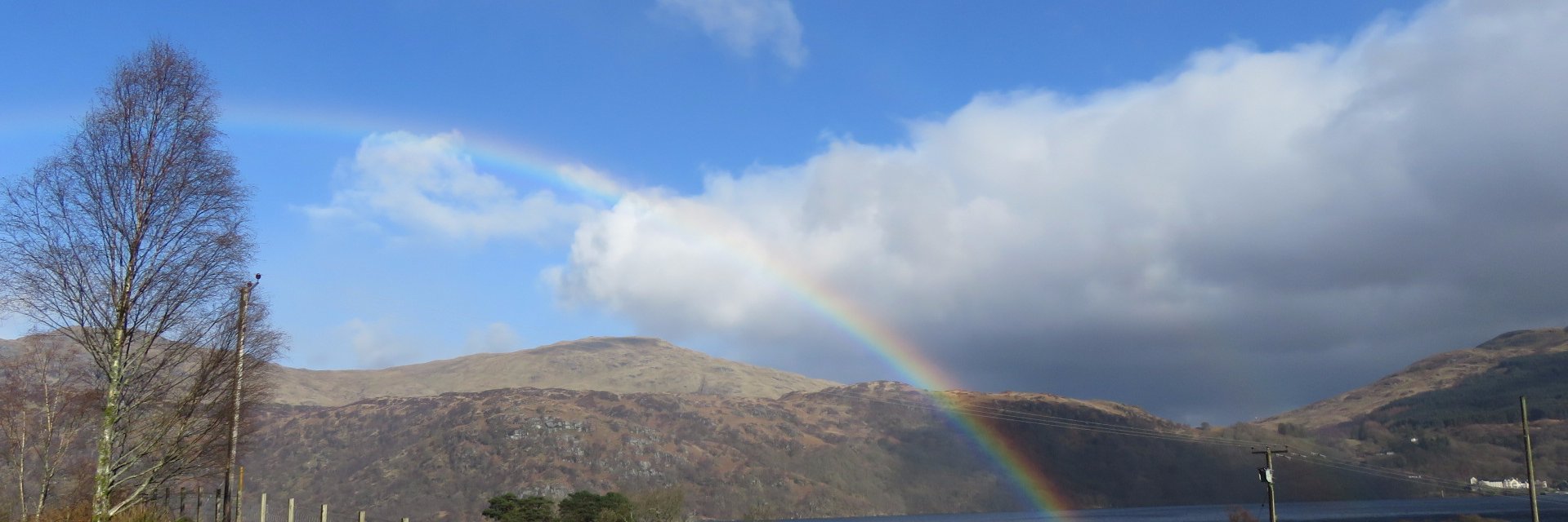 Morven McEachern banner