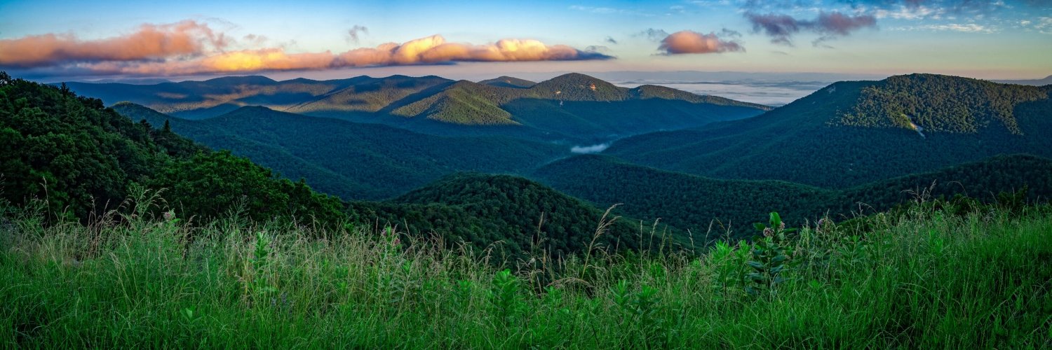 Nicholas Hanson banner