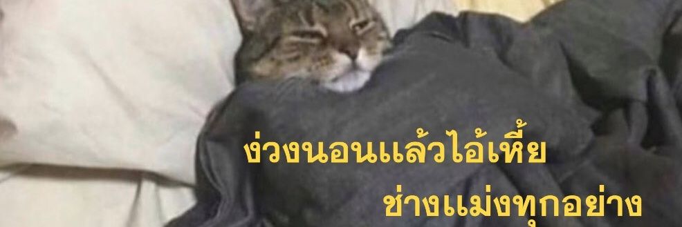 ppdonteattofu's profile banner image