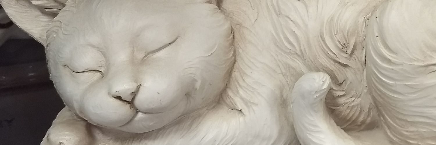 criengalse's profile banner image
