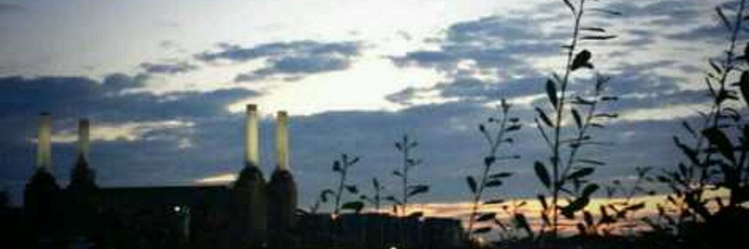 korblimee's profile banner image