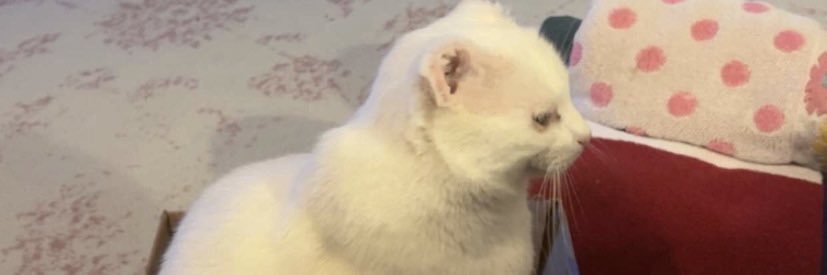 nothserfj's profile banner image