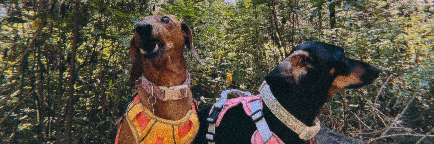 SergioMoon's profile banner image