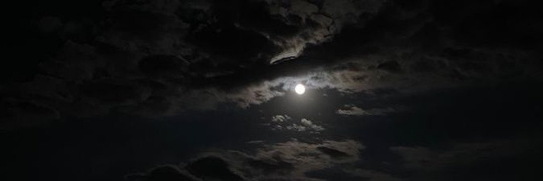 lic3i_'s profile banner image