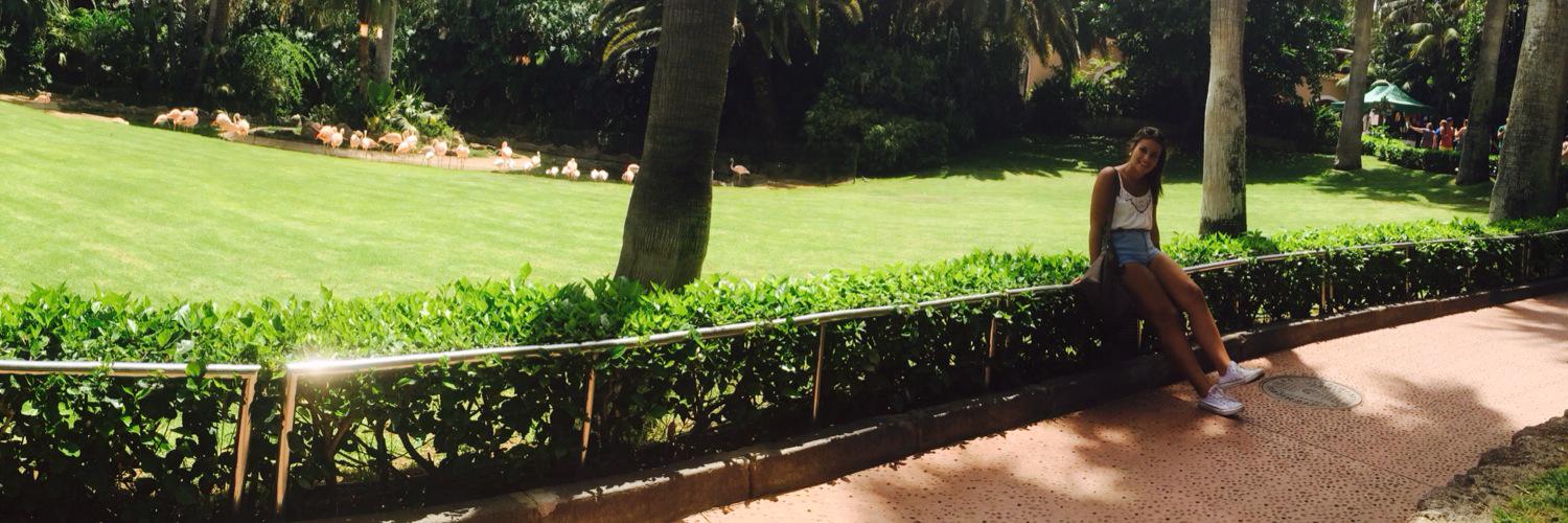 AlbaHdezz's profile banner image