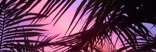 xvbarbar's profile banner image