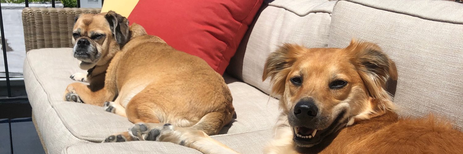 Sabrina Singh banner