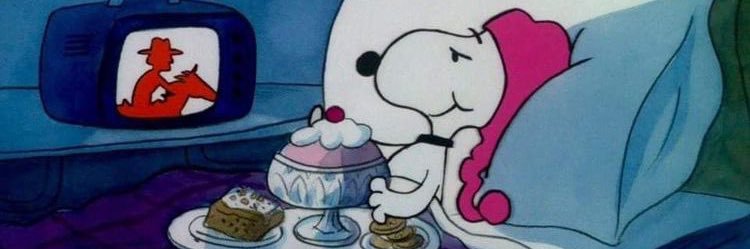 racheltaylah's profile banner image