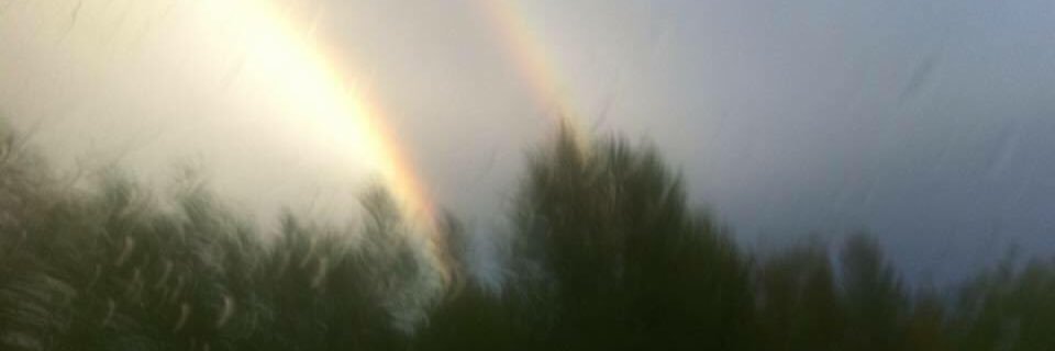 Alan Galloway banner