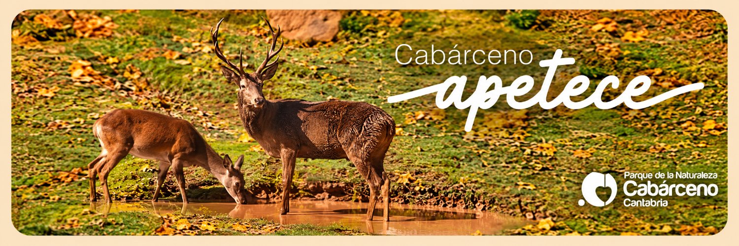 PCabarceno's profile banner image