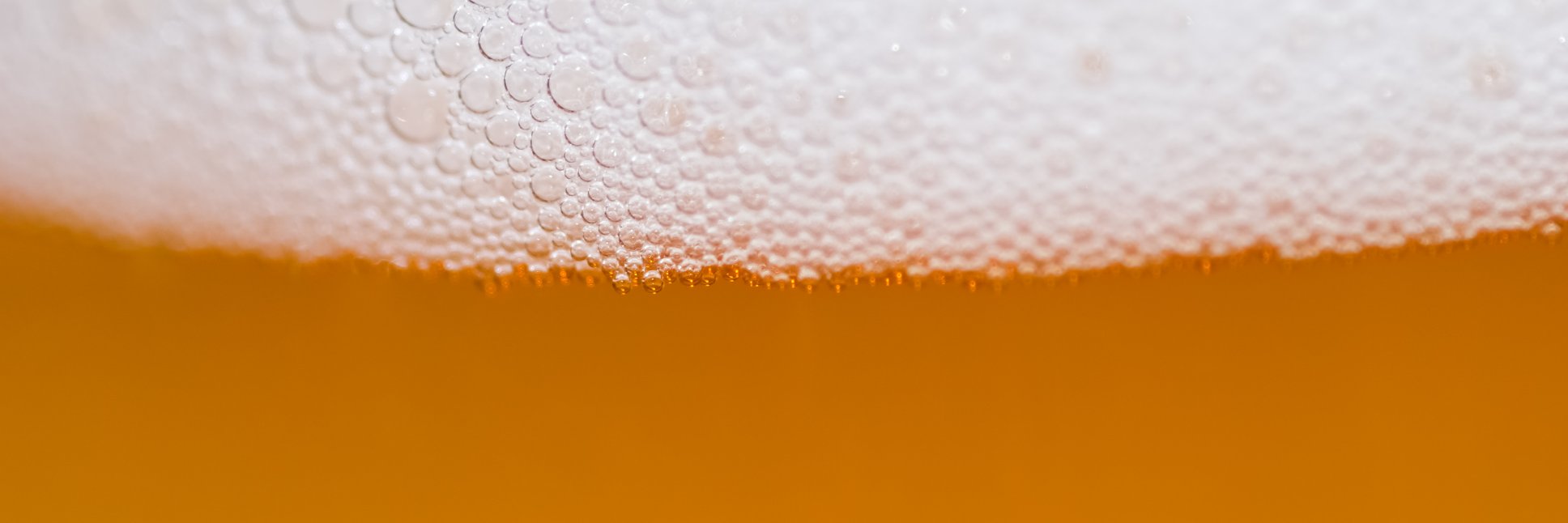 Team Biiruken banner