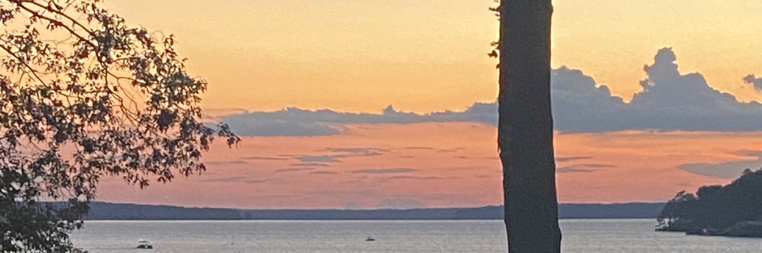 There, their, they’re banner