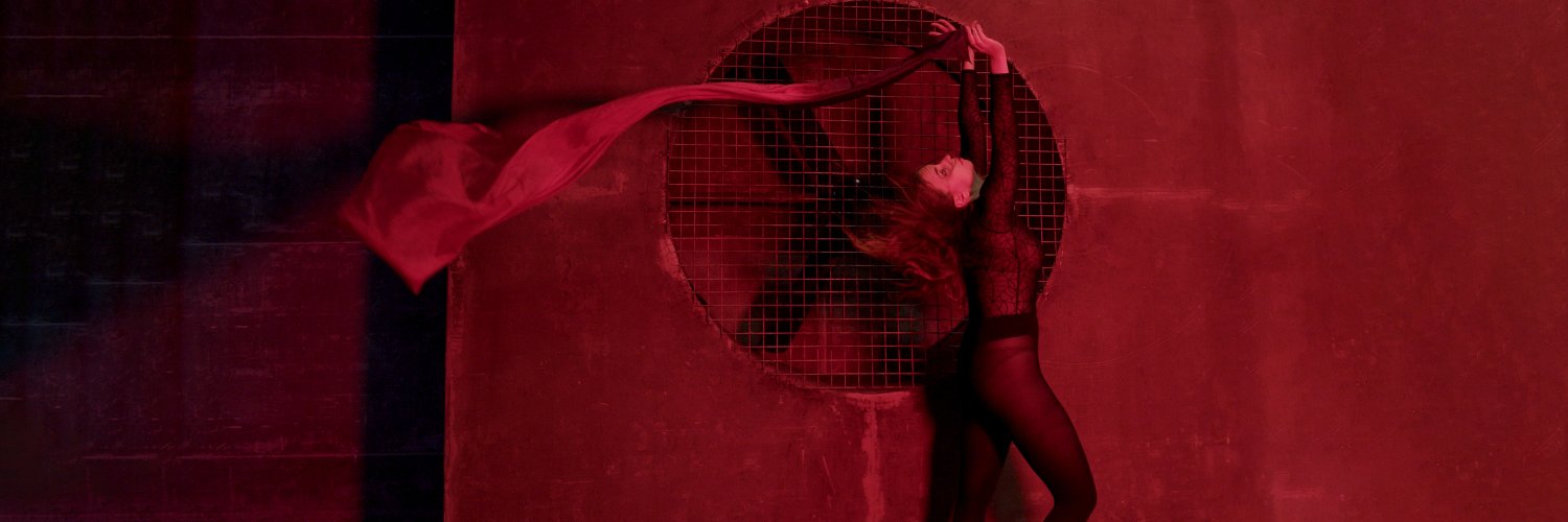 dianaringo's profile banner image