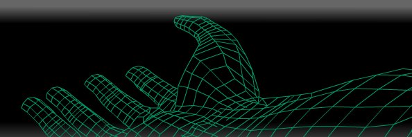 European Society of Biomechanics's banner