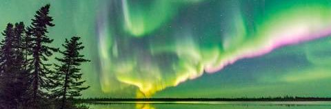 Beamsville Beavers banner