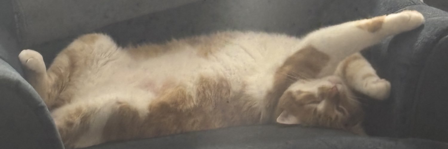 coolcatcai's profile banner image