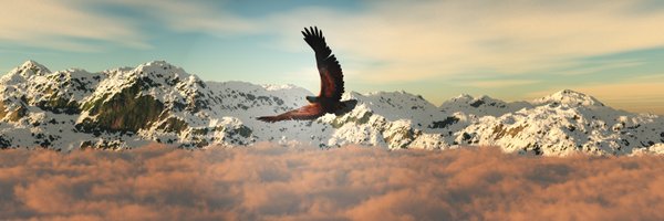 ronmolina Profile Banner