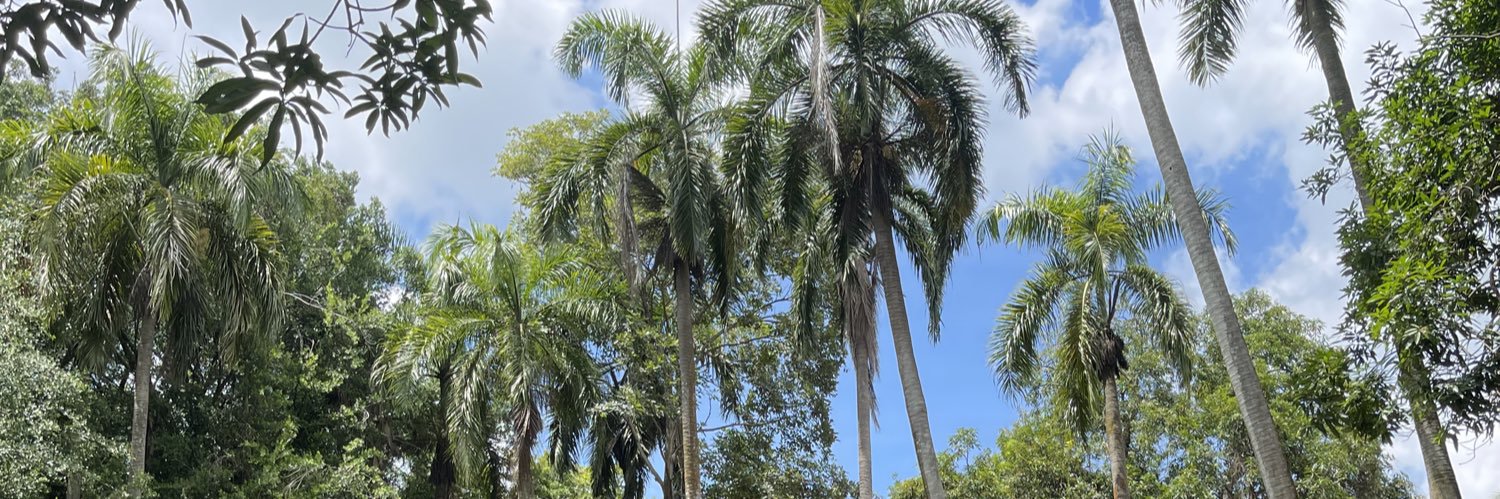 LinaPalmaValiente banner