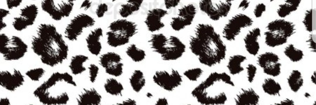 ginalitx's profile banner image